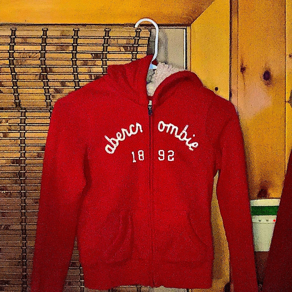 Abercrombie & Fitch Kids zip up hoodie